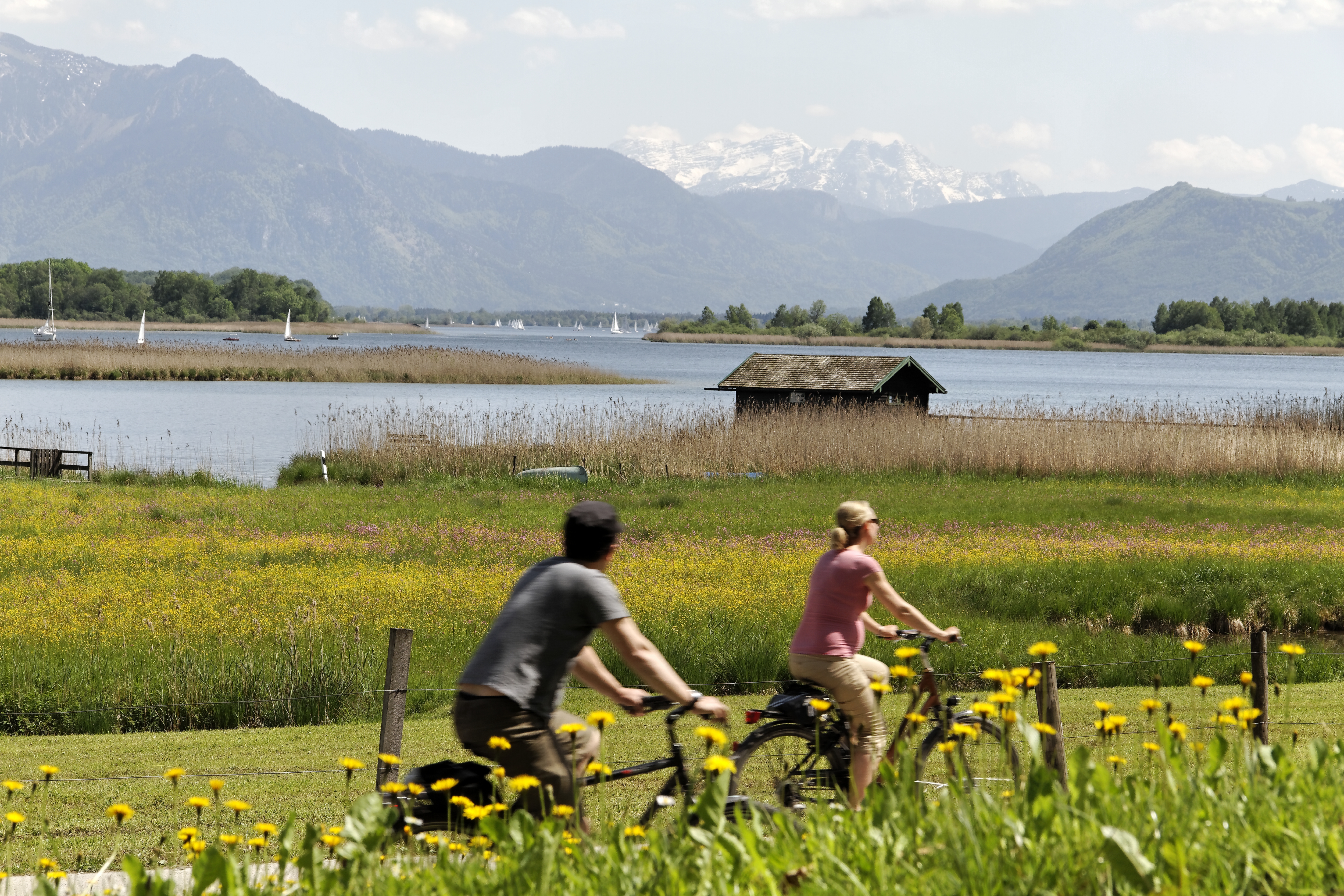 Radfahren am Chiemsee Radfahren Sport & Freizeit