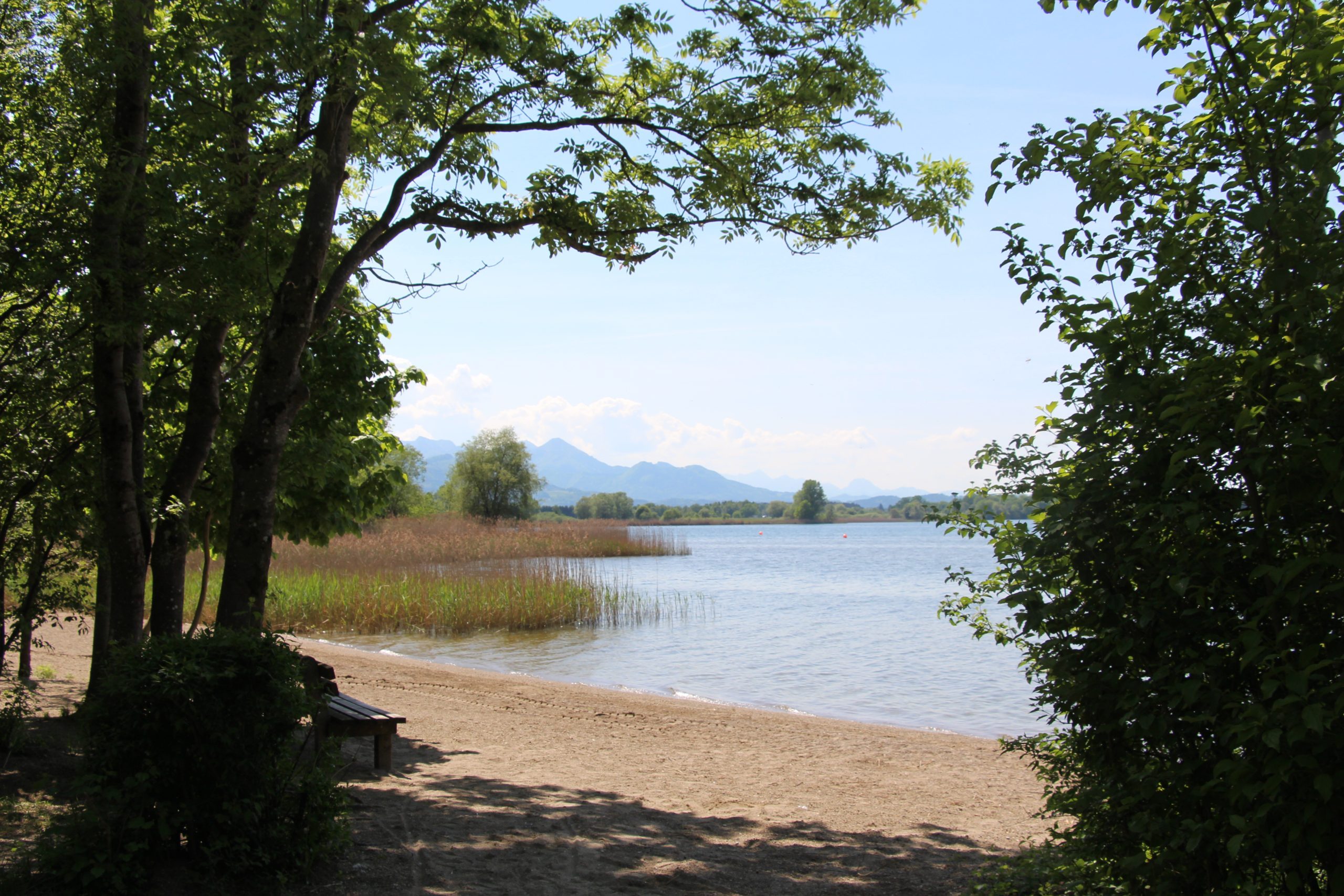Strand