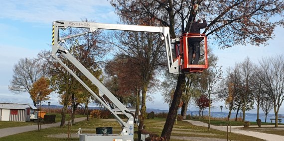 Jedes Jahr müssen die Bäume geprüft und geschnitten werden., © Chiemsee Camping Rödlgries