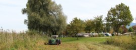 Schilf mähen, © Chiemsee-Camping-Rödlgries
