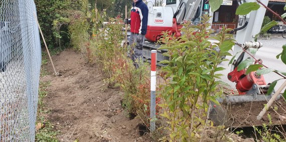 Hecke pflanzen, © Chiemsee Camping Rödlgries