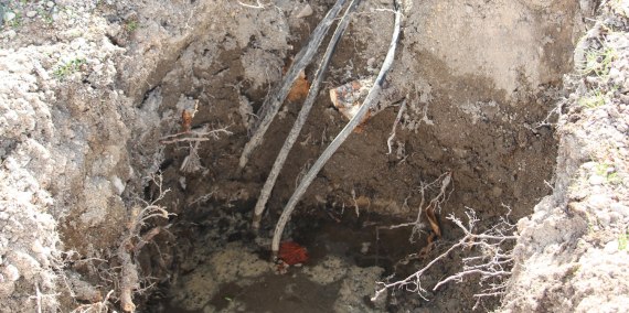 Defekte Wasserleitung und Stromkabel reparieren, © Chiemsee Camping Rödlgries